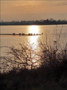 Zonsondergang boven een meer met silhouetten van vogels op een steiger, omringd door struiken.