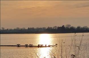 Zonsondergang boven een meer met vogels zittend op een paal in silhouet tegen de zon.
