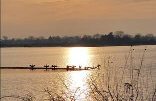 Zonsondergang boven een meer met vogels zittend op een paal in silhouet tegen de zon.