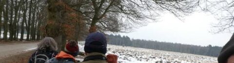 Mensen wandelen langs een besneeuwd, boomrijk pad in de winter.