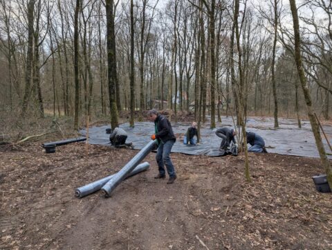 Mensen leggen zwarte folie in een bos; voorbereidingen voor wellicht een project of onderzoek.