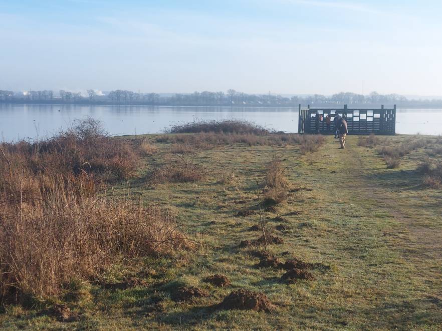 Man loopt naar uitkijkpunt bij meer, omgeven door droge vegetatie en molshopen.