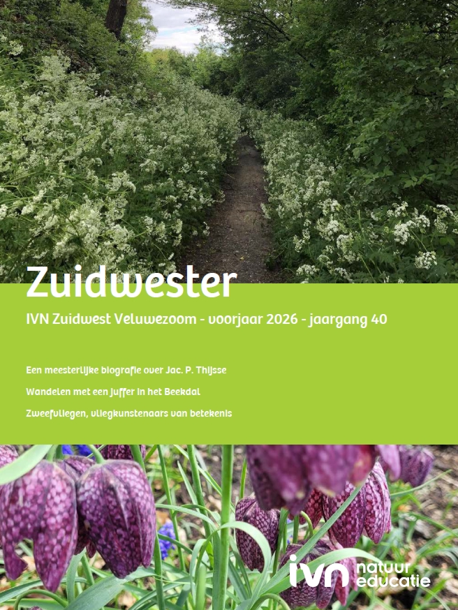 Pad door groene natuur met bloeiende planten. Tekst: "Zuidwester, voorjaar 2026, jaargang 40."