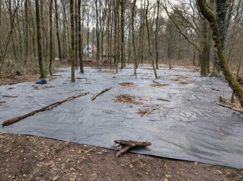 Bosbodem bedekt met zwarte plastic folie en verspreide takken, omringd door kale bomen.