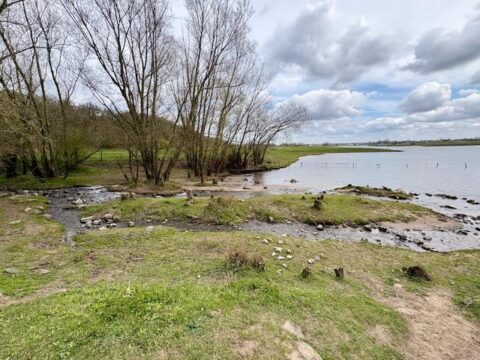 Een rustige riviermonding omringd door bomen en grasland onder een bewolkte hemel.