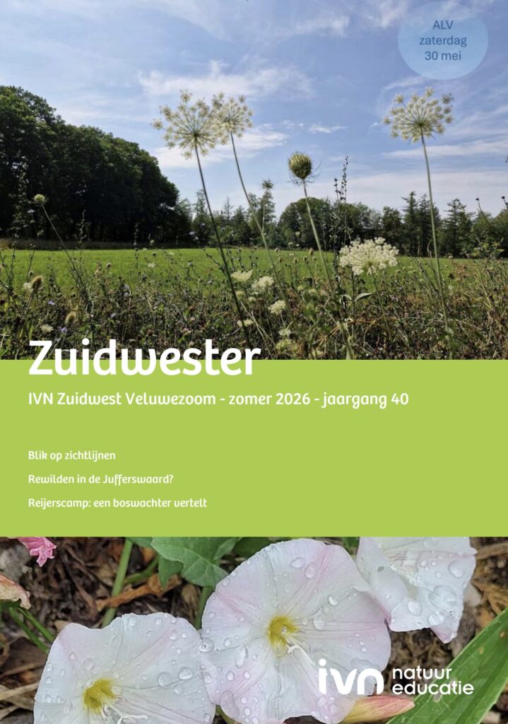 Tijdschriftcover met veldbloemen, een bos op de achtergrond en teksten over natuuronderwerpen.