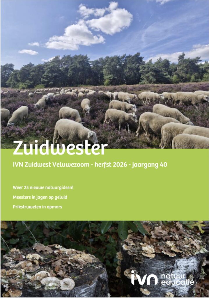 Tijdschriftcover op de achtergrond en teksten over natuuronderwerpen.