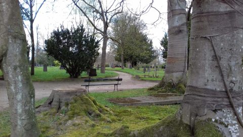 Excursie bomen Oude Begraafplaats Zutphen