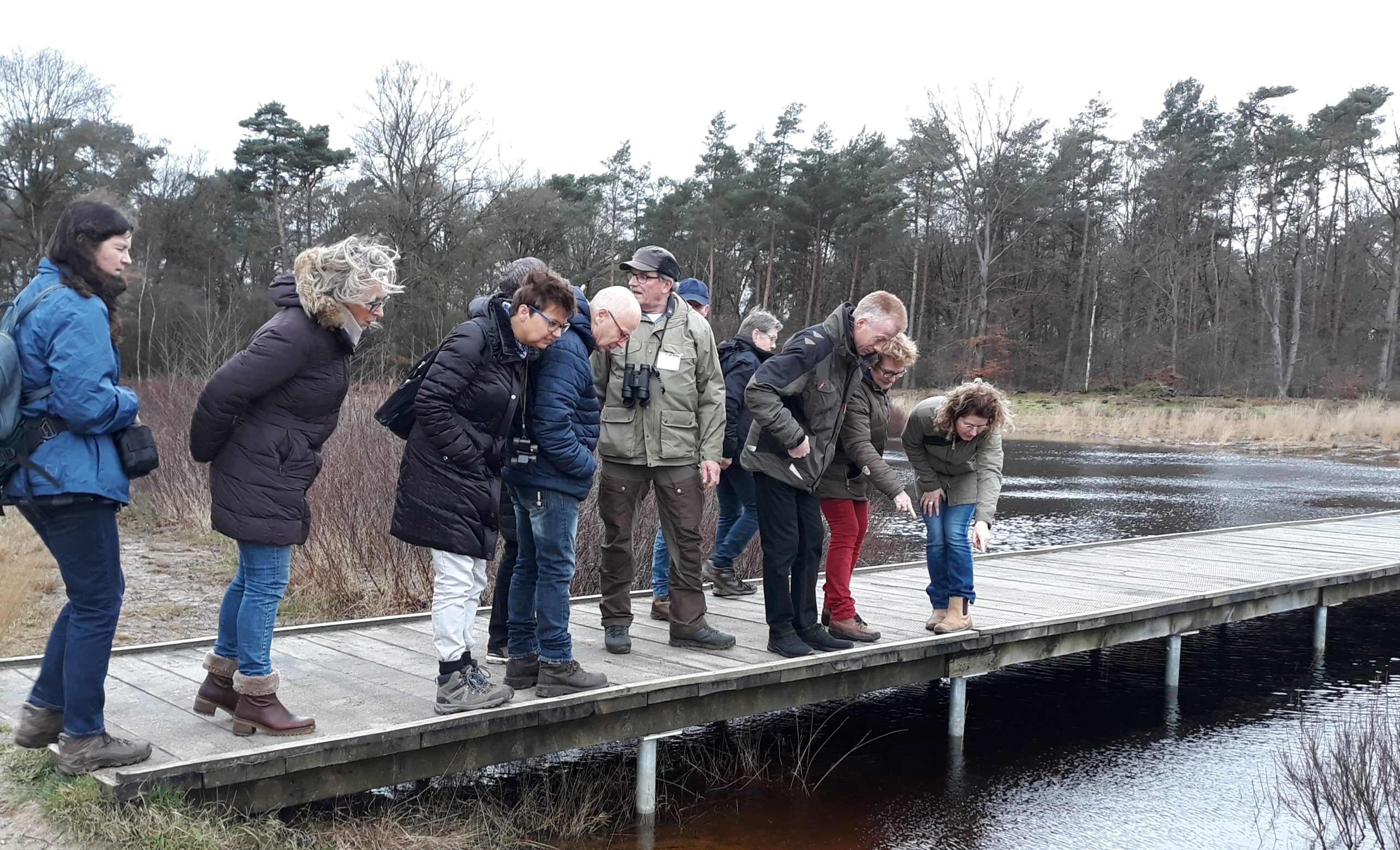 Gorsselse Heide