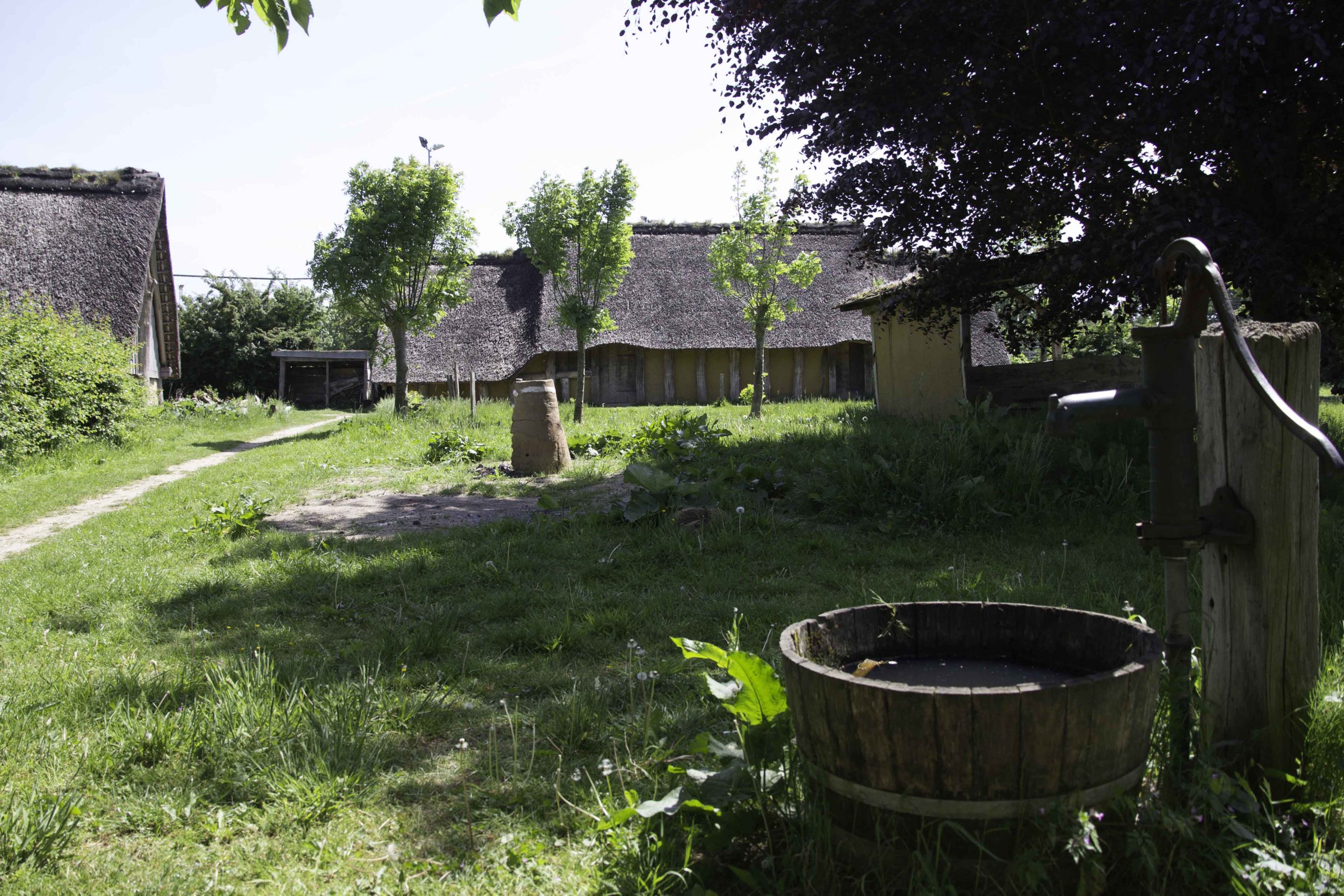 Rustieke boerderij met rieten daken, bomen en handpomp in groene omgeving.