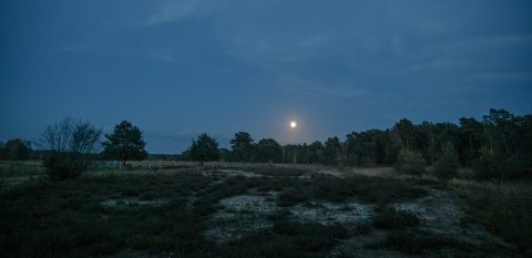 avondfoto Gorsselse heide met volle maan