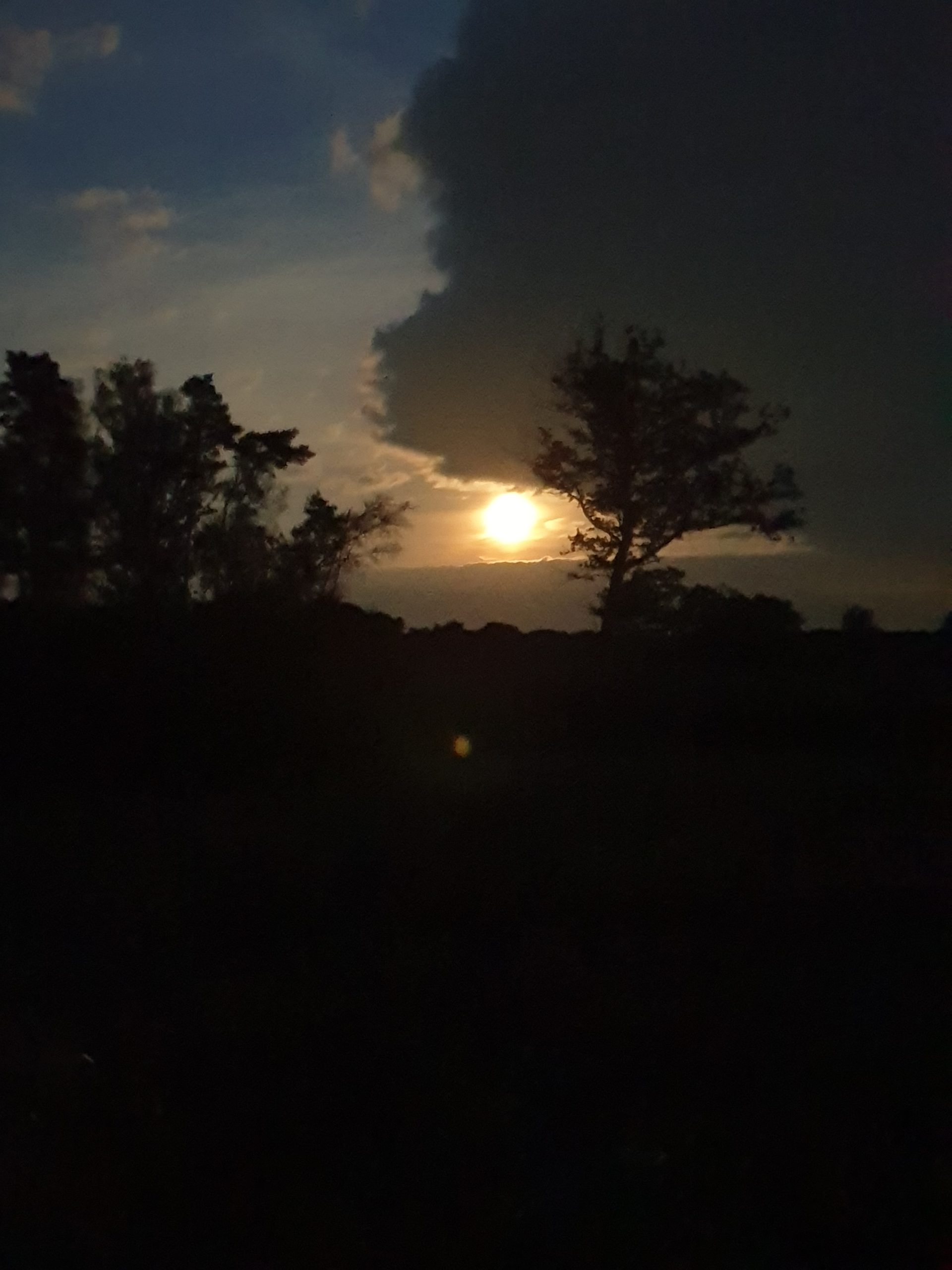 Maan schijnt door de wolken, silhouetten van bomen op de voorgrond bij schemering.