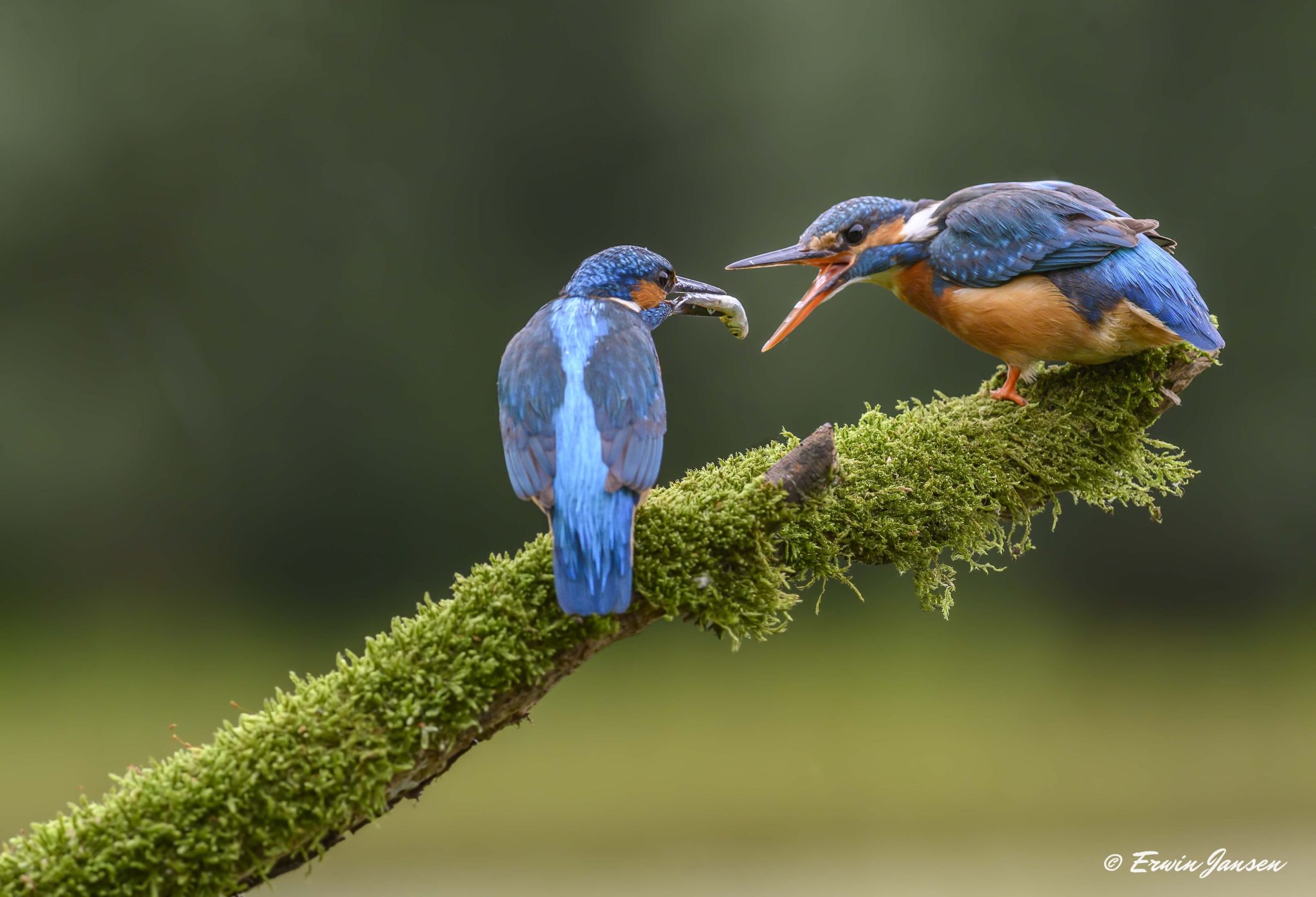 Fotowedstrijd doe ook mee! Zutphen