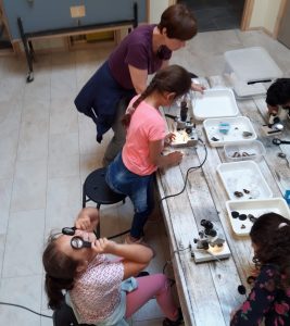 Kinderen bekijken met microscoop waterdiertjes. Eem meisje houdt twee vergrootglazen voor haar ogen alsof het een bril is.