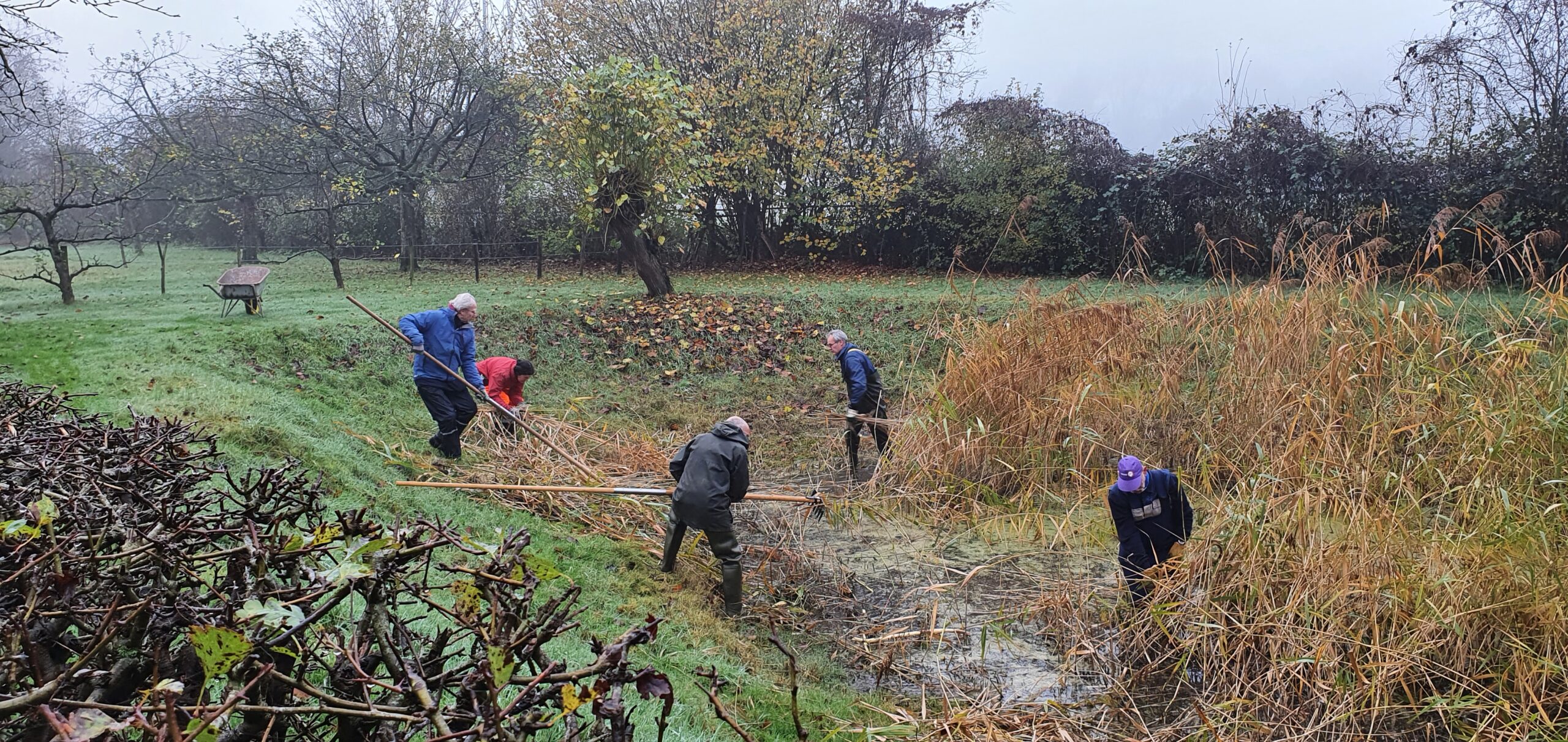 paddenpoel opschonen bij Overtuin