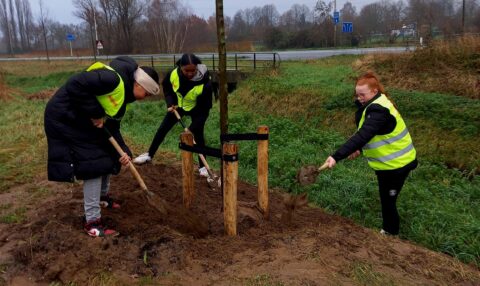 Drie mensen planten een boom bij een weg, met felgele veiligheidshesjes aan.
