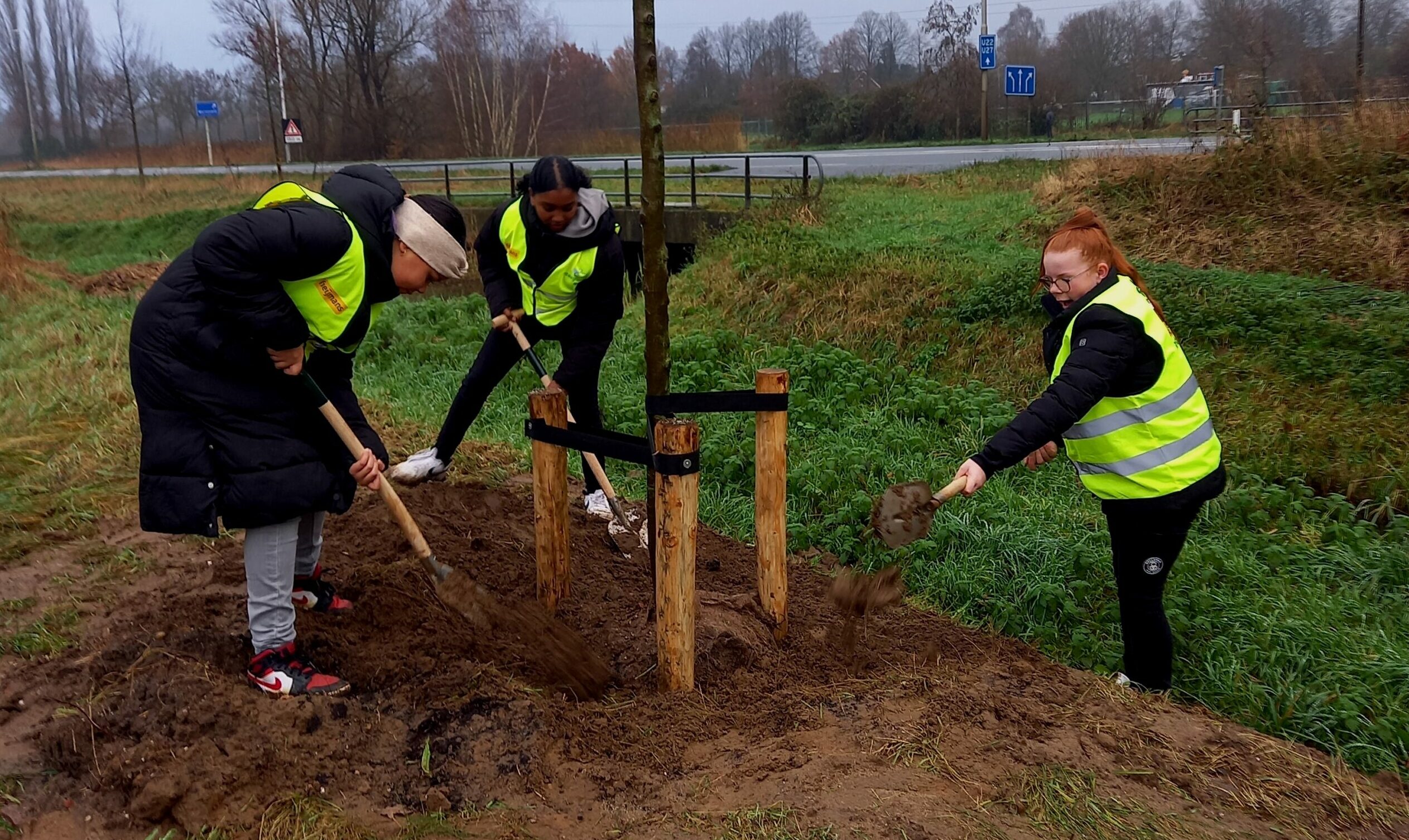 Drie mensen planten een boom bij een weg, met felgele veiligheidshesjes aan.