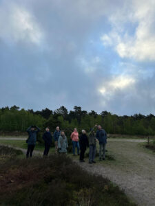 mensen kijken in de lucht, op zoek naar vogels