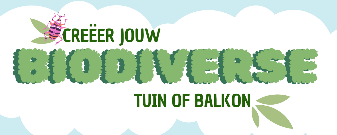 Tekst "Creëer jouw biodiverse tuin of balkon" met een kleurrijke insect en bladeren.