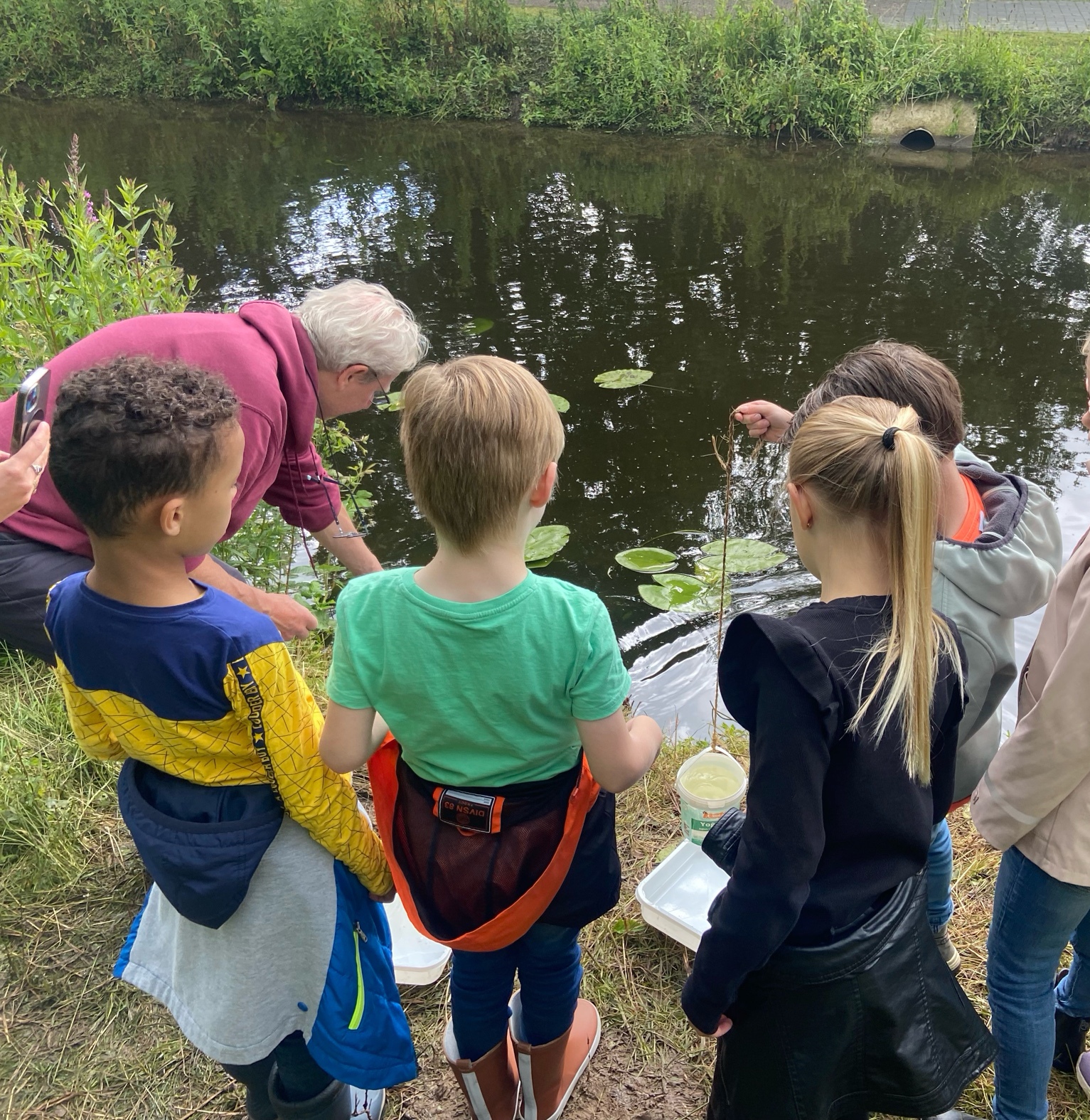 Kinderen vangen waterdiertjes aan de oever van een vijver onder begeleiding van een volwassene.
