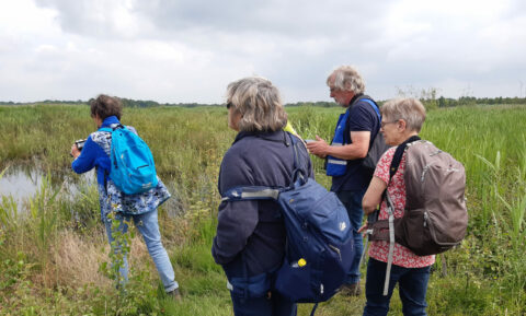 Vier mensen wandelen door een groen natuurgebied met rugzakken onder een bewolkte hemel.