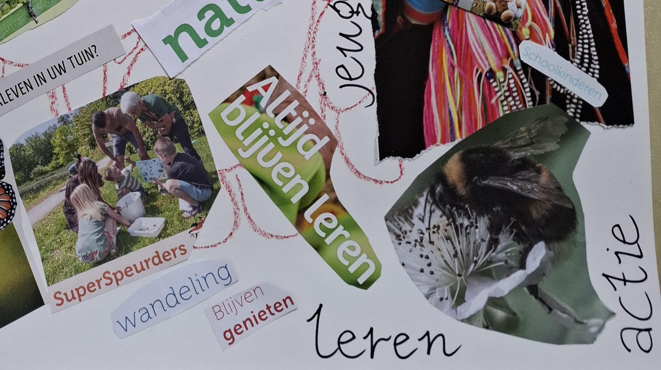 Collage met foto's en tekst: kinderen leren in de natuur, bij op bloem, en kleurrijke kleding.