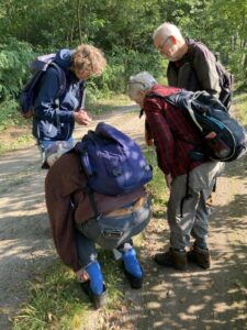 paddenstoelenwerkgroep