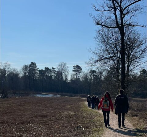 Mensen wandelen op een bosrijk pad langs een meer onder een heldere blauwe lucht.