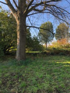 Ont-braamde heemtuin