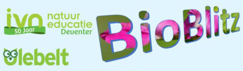 "Logo's van IVN, 50 jaar, Natuur Educatie Deventer, BioBlitz en De Ulebelt op lichtblauwe achtergrond."