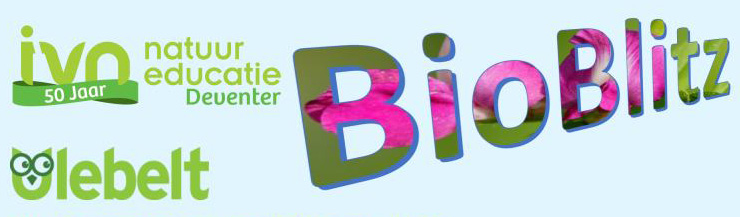 "Logo's van IVN, 50 jaar, Natuur Educatie Deventer, BioBlitz en De Ulebelt op lichtblauwe achtergrond."