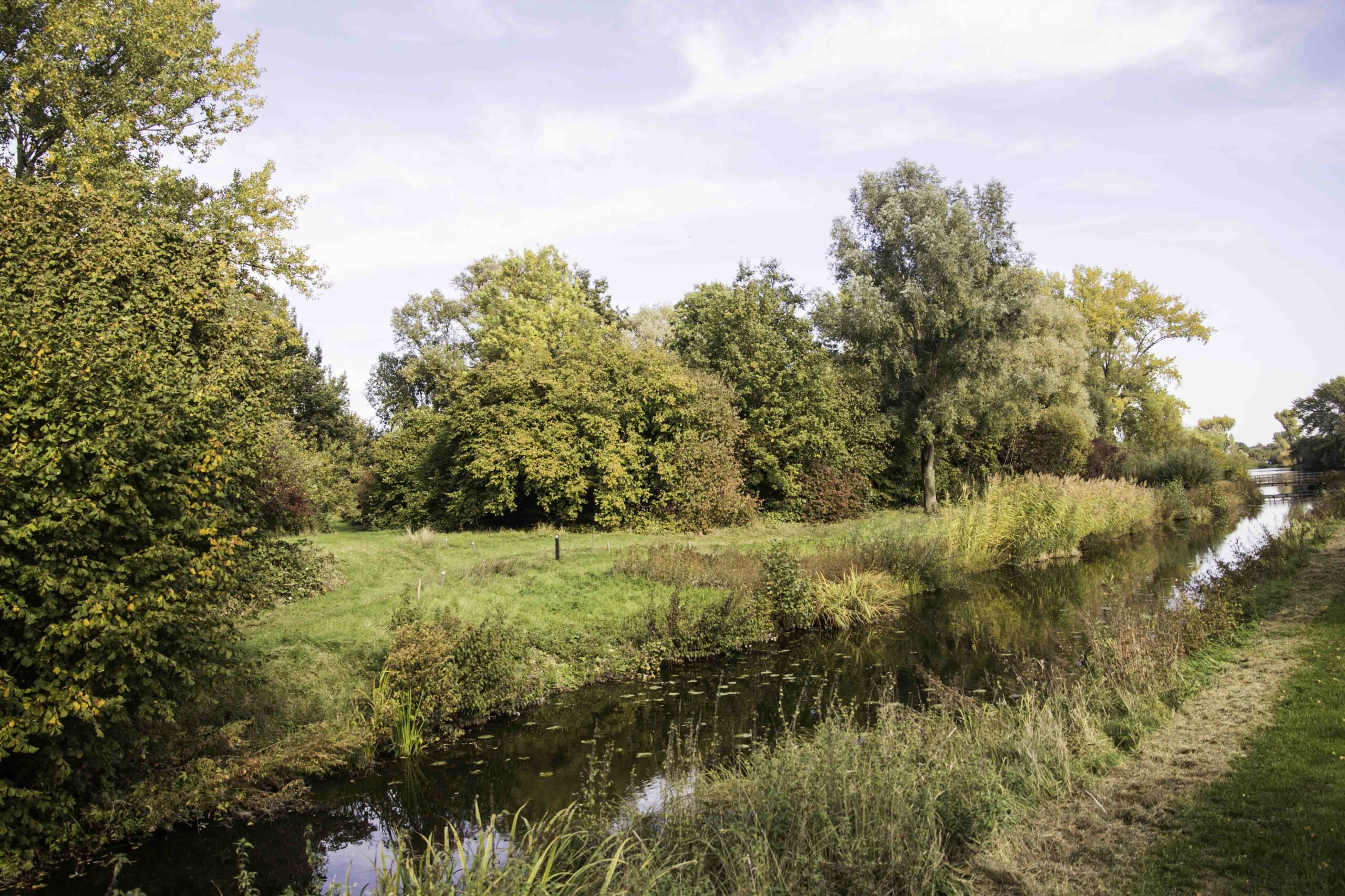 Groen landschap met bomen langs een smalle rivier onder een bewolkte hemel.