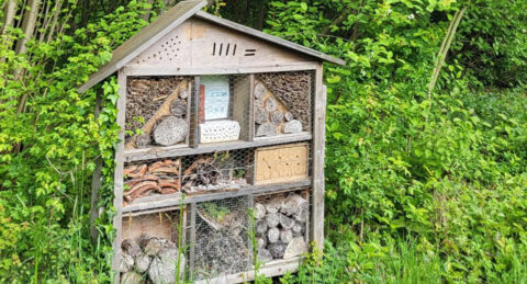 Insectenhotel van hout met takken en stenen, omgeven door groene struiken.