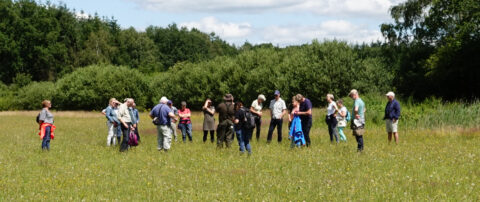 Mensen staan in een kring op een grasveld, omgeven door bomen.