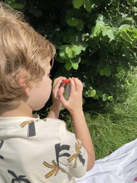 Kind onderzoekt een potje bij groene struiken in de zon.