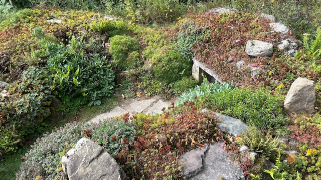 Kleurrijke rotstuin met diverse planten en mos bedekte stenen, omlijst door groen loof.
