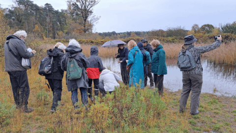 Groep mensen onderzoekt planten bij een vijver in een bosrijke omgeving.