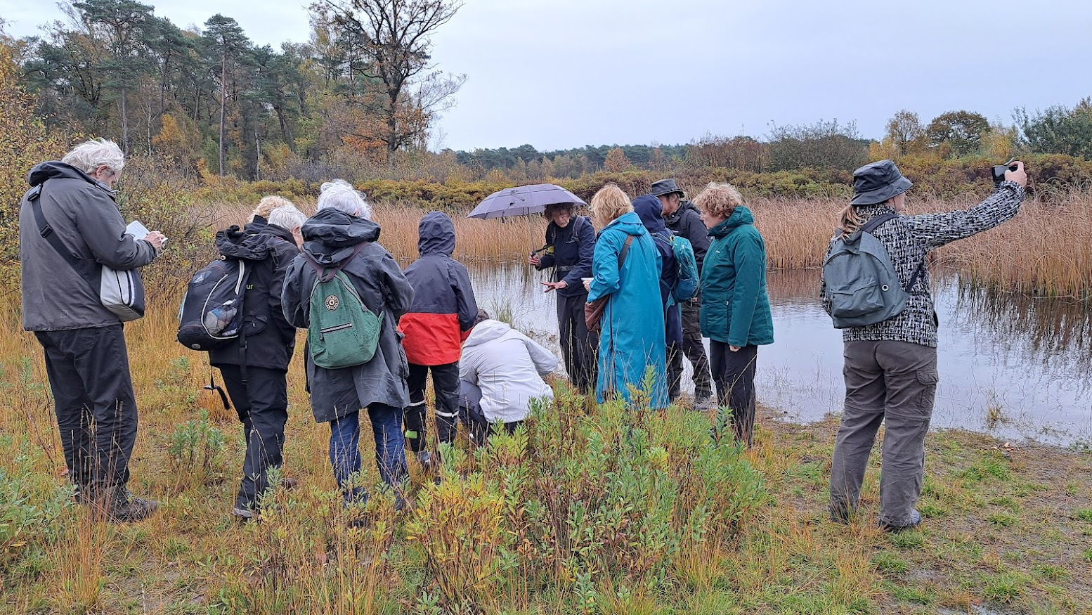 Groep mensen onderzoekt planten bij een vijver in een bosrijke omgeving.
