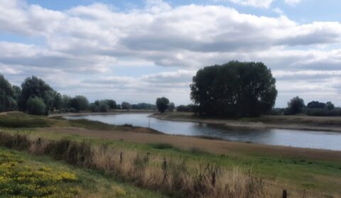 Rivierlandschap met gras, struiken en bomen onder een deels bewolkte hemel.