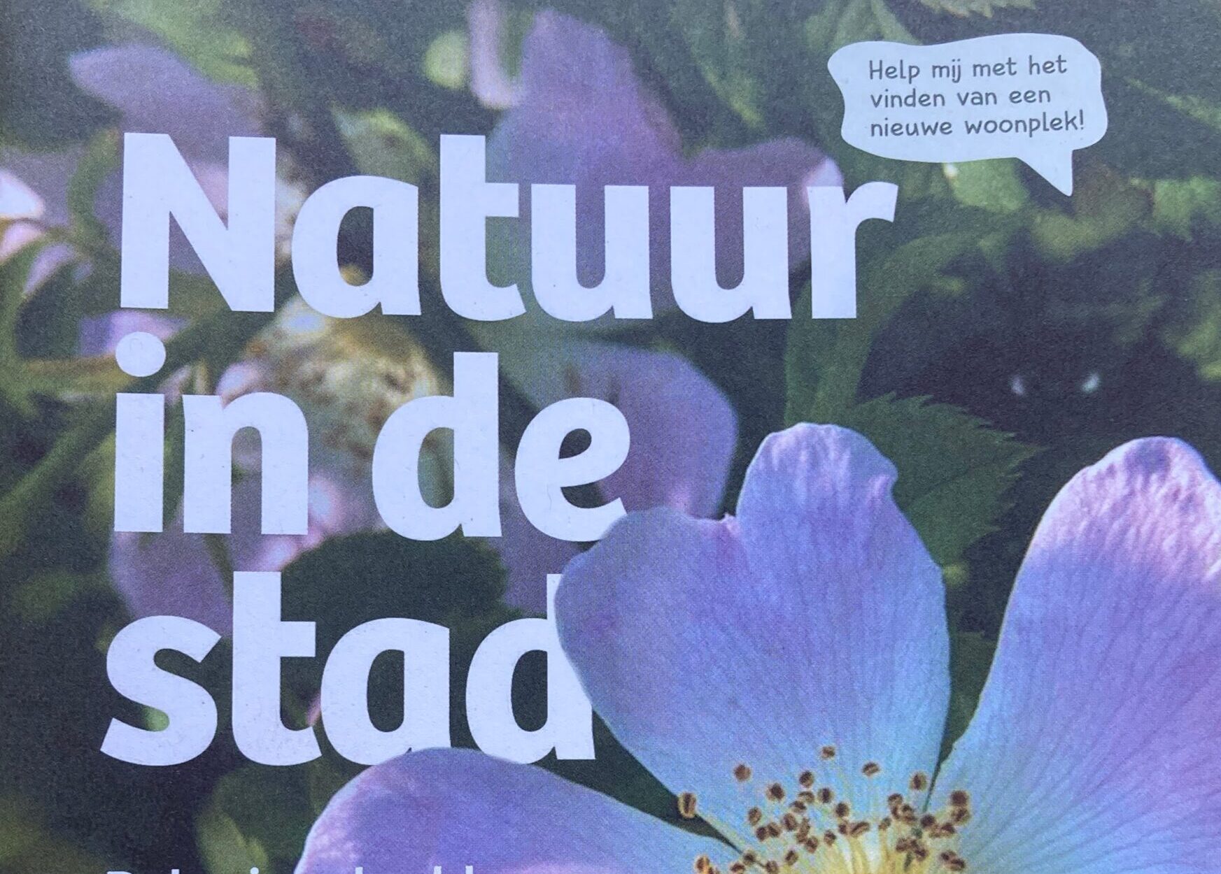 Paarse bloem en bladeren, met tekst "Natuur in de stad" en een pratende wolk: "Help mij...woningplek".