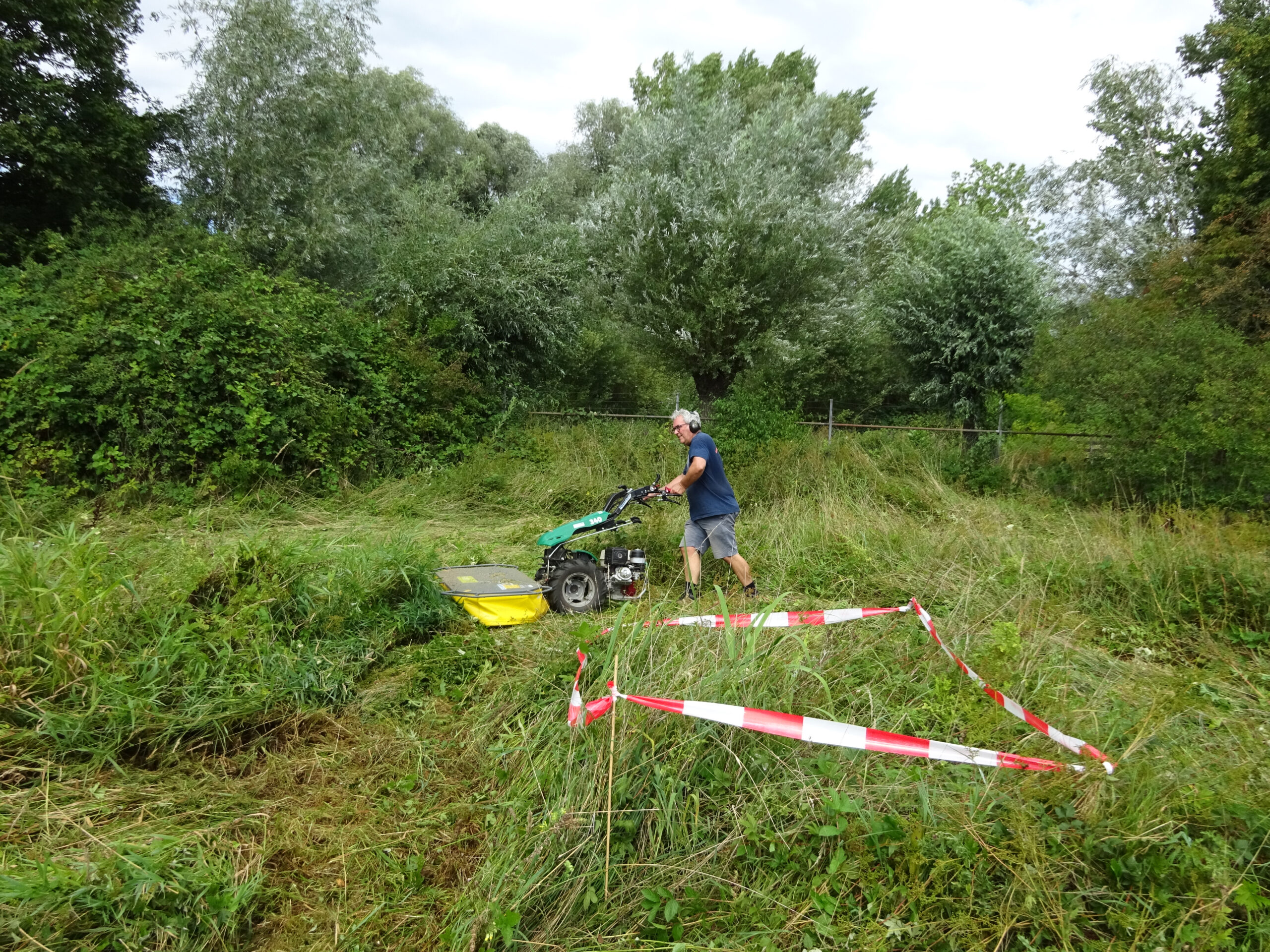 Man maait gras met een machine in een bosrijke omgeving, met rood-wit afzetlint op de grond.