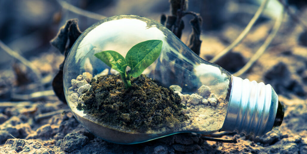 IVN Klimaatcursus in Zwolle