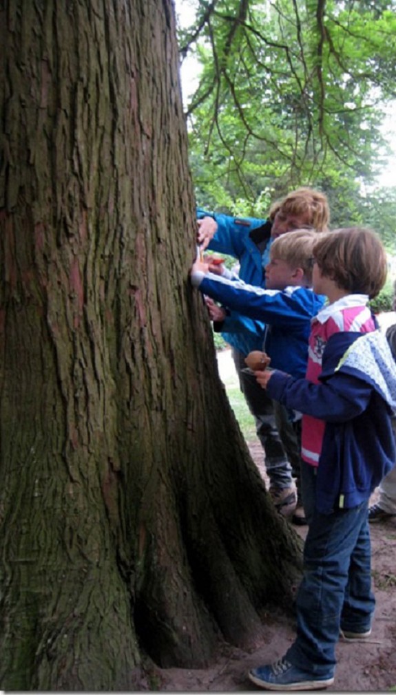 kinderen bij boom