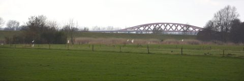 Breed landschap met grasveld, bomen en een rood brugontwerp zichtbaar op de achtergrond.