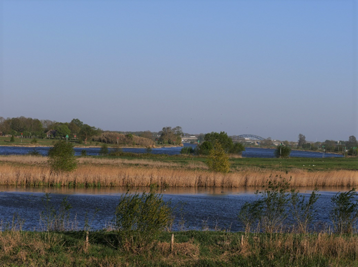 Landschap met water, riet en bomen onder een heldere blauwe lucht. Een brug is zichtbaar in de verte.