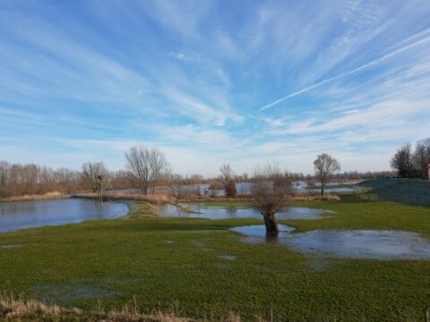 Veld met bomen en plassen water, blauwe lucht met wolken.