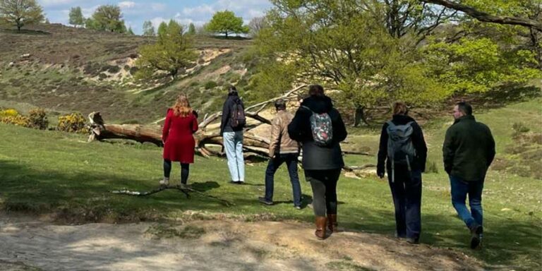 Vijf mensen wandelen door een heuvelachtig landschap met bomen en gras.