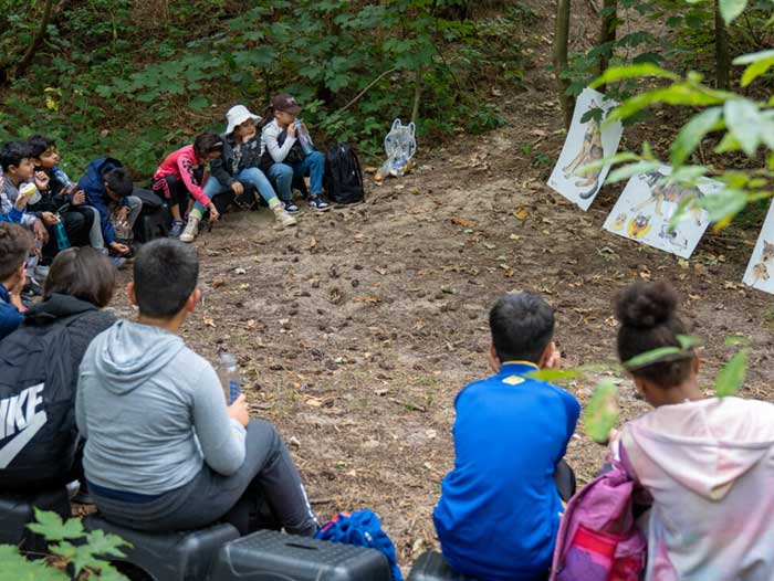 Groep kinderen zit in een bos en kijkt naar educatieve posters op de grond.