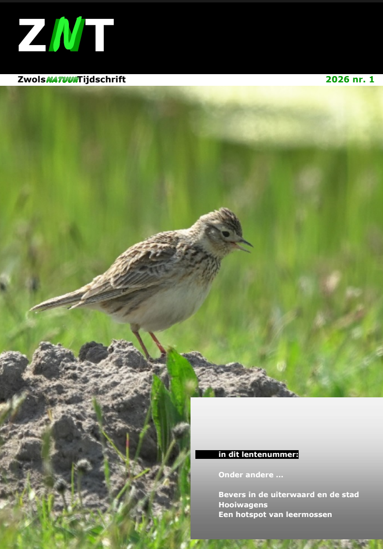 Omslag van een tijdschrift met een vogel op een grasbult en opsomming van artikels.