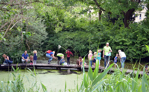 Mensen vangen waterdieren met netten bij een vijver, omringd door weelderige groene bomen.